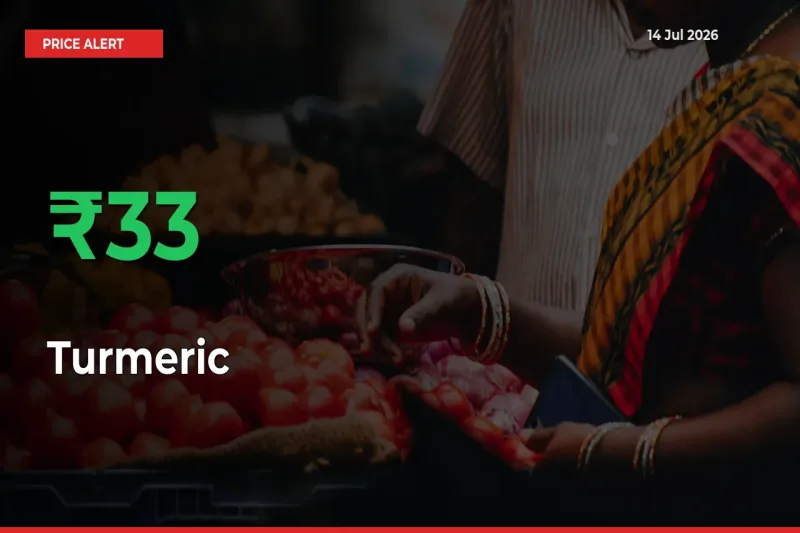Turmeric Prices Rise 33.21% in a Day at Major Mandis