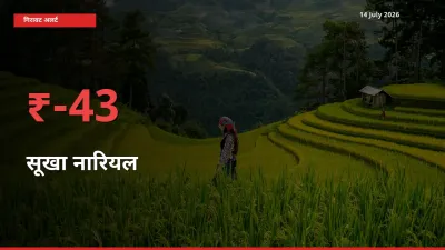 14 July अपडेट: सूखा नारियल के दाम मंडी में 43.35% गिरे