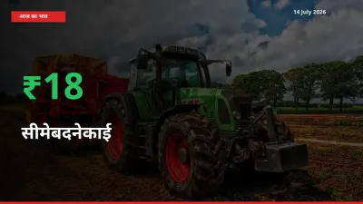सीमेबदनेकाई 18.28% उछला, मंडी