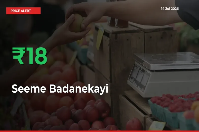 Sudden 18.28% Rally in Seeme Badanekayi Prices Across Mandis