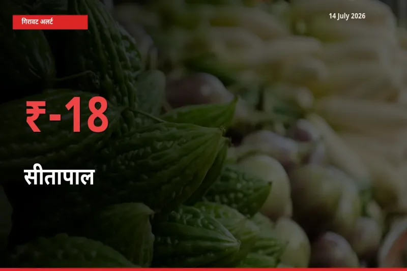 तेज़ गिरावट! मंडी में सीतापाल के दाम 17.91% लुढ़के
