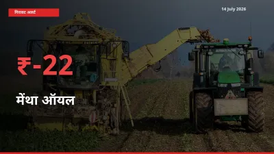 मेंथा ऑयल के दाम प्रमुख मंडी में 22.11% गिरे, 24 घंटे में बड़ा बदलाव