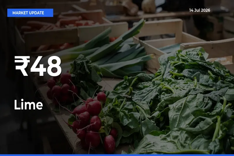 Lime Prices Gain Momentum Across 48+ Mandis – Market Trend Strengthens