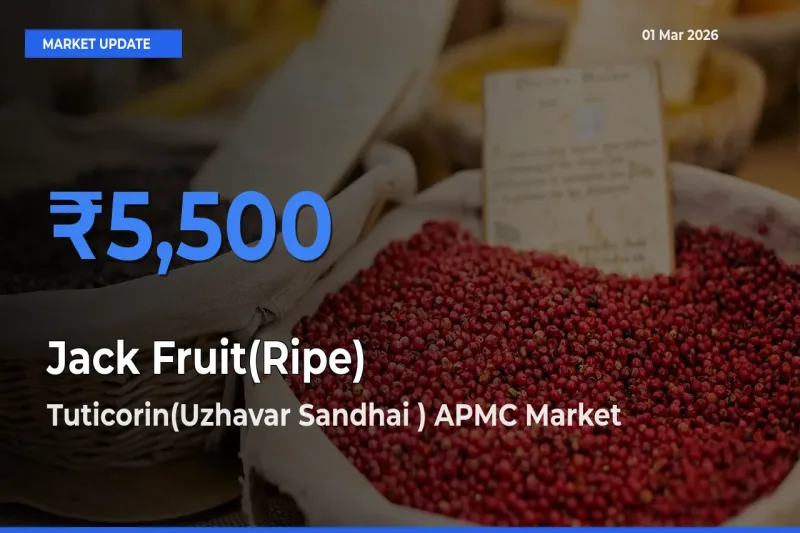 Tuticorin(Uzhavar Sandhai ) APMC Tops Jack Fruit(Ripe) Mandi Rates Today
