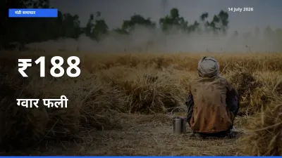 ग्वार फली के दाम 188+ मंडियों में बदले, बाज़ार का रुझान स्पष्ट