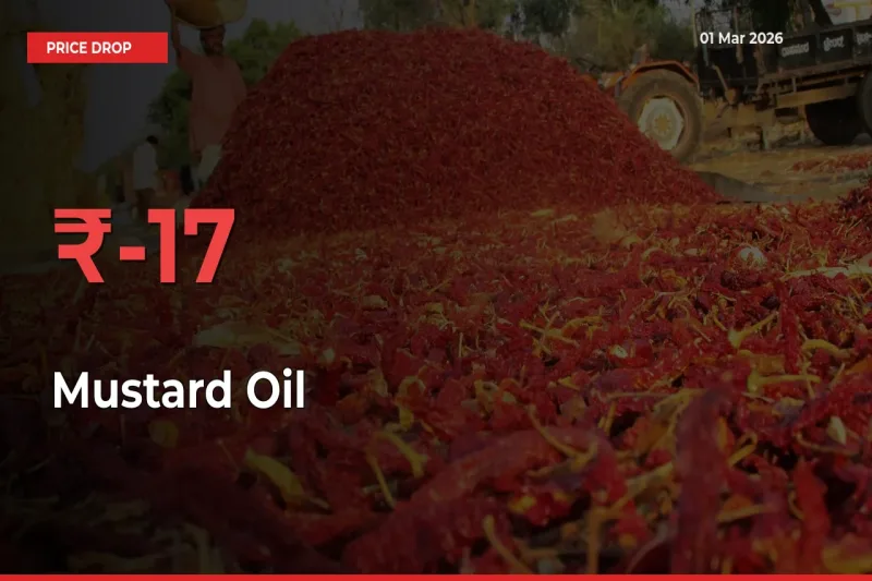 Sudden Shock! Mustard Oil Drops 16.81% in 24 Hours at Top Mandis