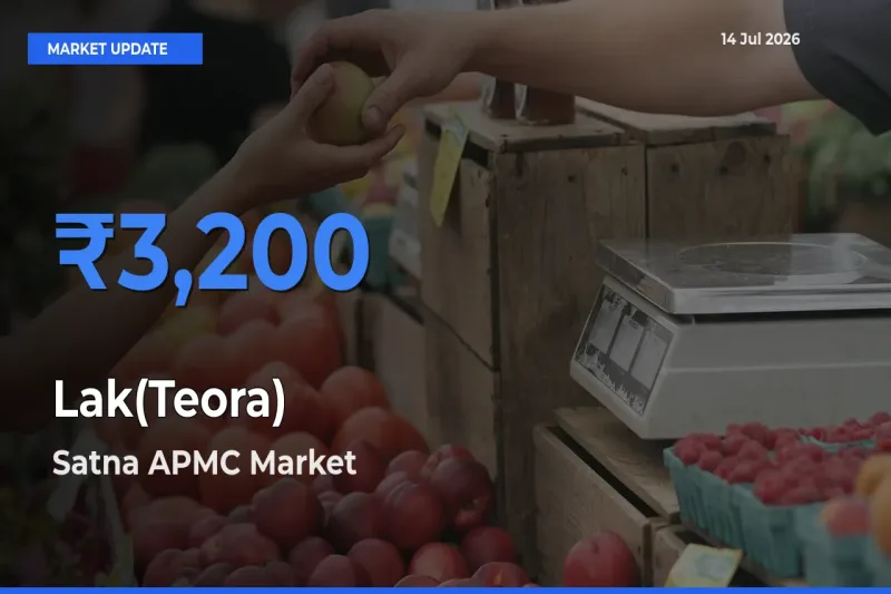 Satna APMC Offers ₹3,200 – Highest Lak(Teora) Rate Today