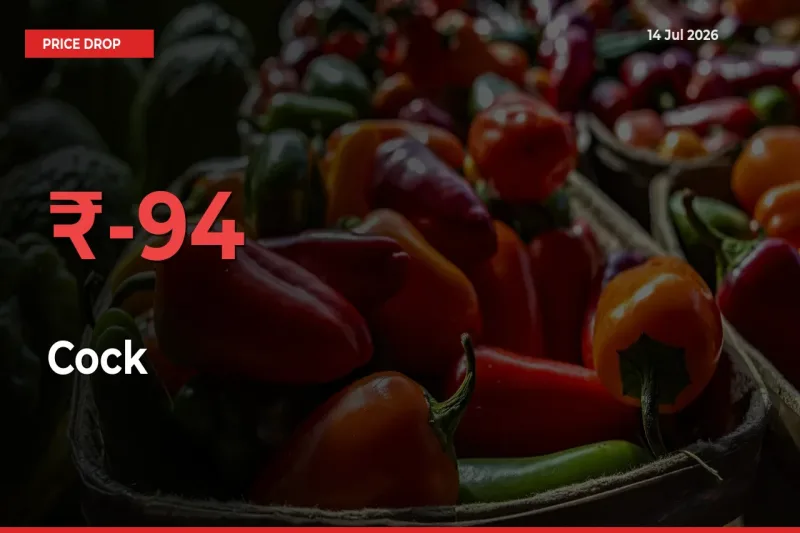 Cock Falls 93.96% at Mandis