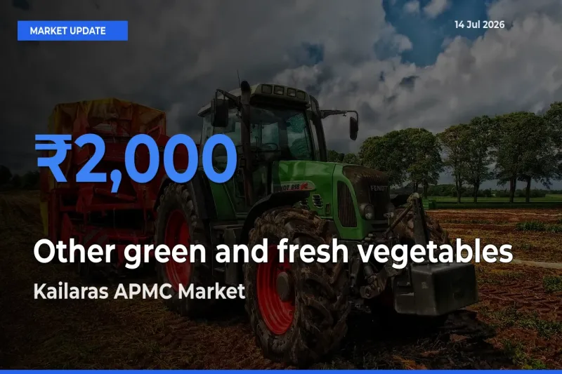 Kailaras APMC Tops Other green and fresh vegetables Mandi Rates Today