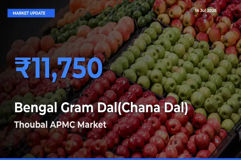 Thoubal APMC Emerges as Top Mandi for Bengal Gram Dal(Chana Dal) Prices Today