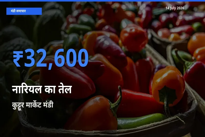 14 July अपडेट: नारियल का तेल के सबसे ऊँचे दाम कुट्टूर मार्केट मंडी में