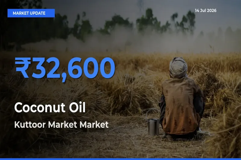 Kuttoor Market Leads as Top Mandi for Coconut Oil Prices
