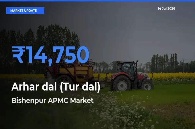 Top Performer! Bishenpur APMC Offers Best Arhar dal (Tur dal) Price Today
