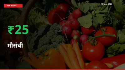 15 July अपडेट: मौसंबी के दाम मंडी में 25.05% उछले