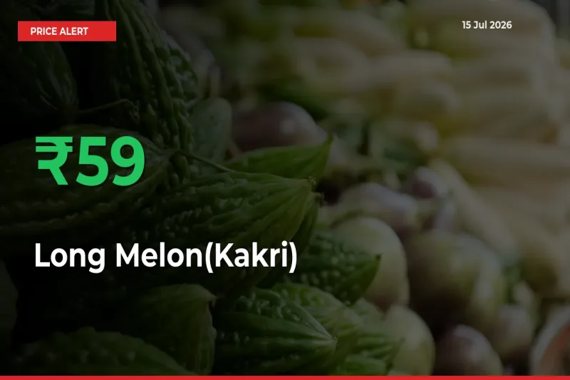 Sudden 59.24% Rally in Long Melon(Kakri) Prices Across Mandis