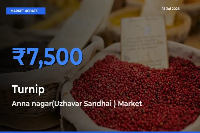 Anna nagar(Uzhavar Sandhai ) Tops Turnip Mandi Rates Today