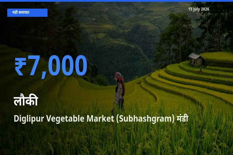 Diglipur Vegetable Market (Subhashgram) मंडी में लौकी ₹7,000 पर पहुँचा – आज का सर्वोच्च भाव