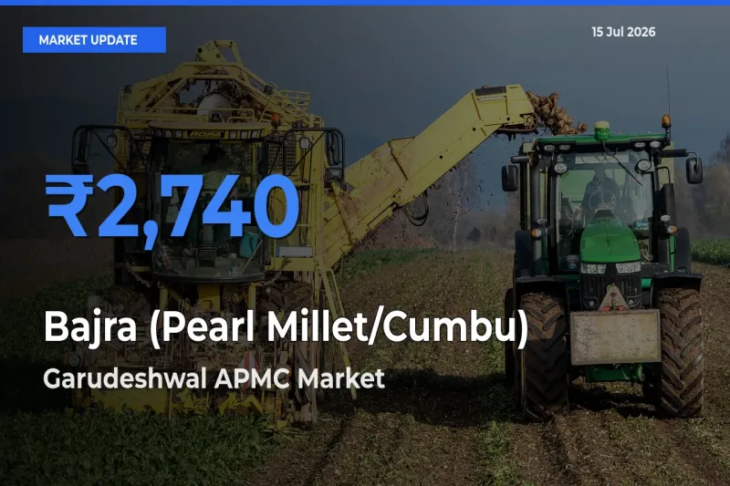 Garudeshwal APMC Offers ₹2,740 – Highest Bajra (Pearl Millet/Cumbu) Rate Today