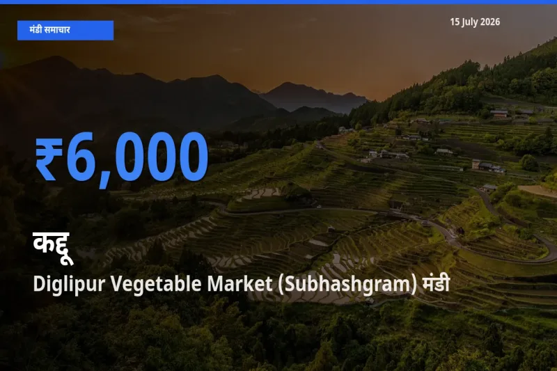 टॉप मंडी बना Diglipur Vegetable Market (Subhashgram)! कद्दू के सबसे ऊँचे दाम यहीं दर्ज