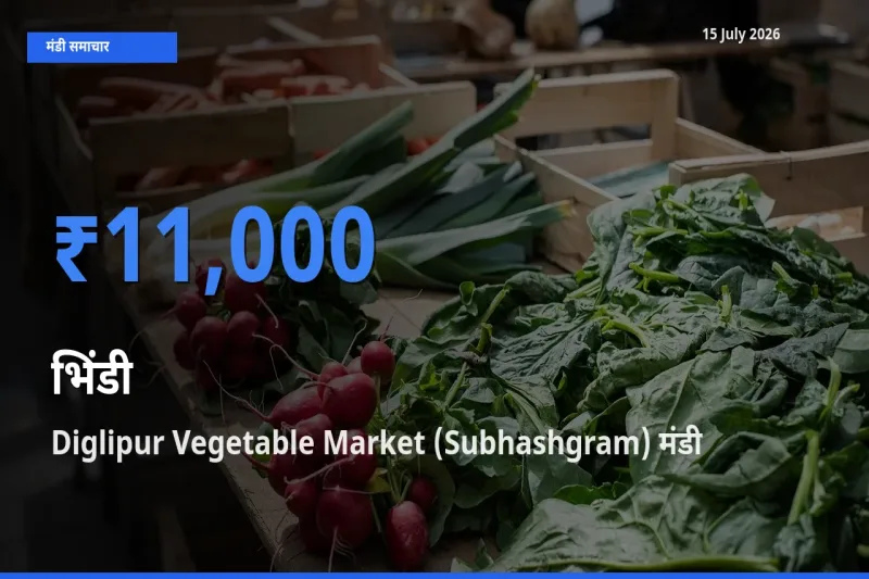 आज का मंडी भाव: भिंडी के सबसे ज़्यादा दाम Diglipur Vegetable Market (Subhashgram) में