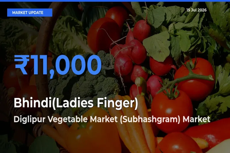 Diglipur Vegetable Market (Subhashgram) Tops Bhindi(Ladies Finger) Mandi Rates Today