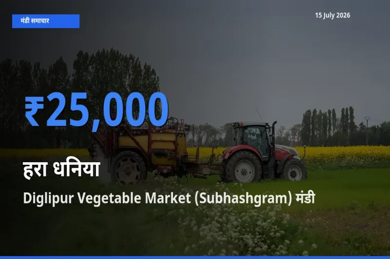 बाज़ार संकेत: Diglipur Vegetable Market (Subhashgram) बना हरा धनिया के लिए आज की टॉप मंडी