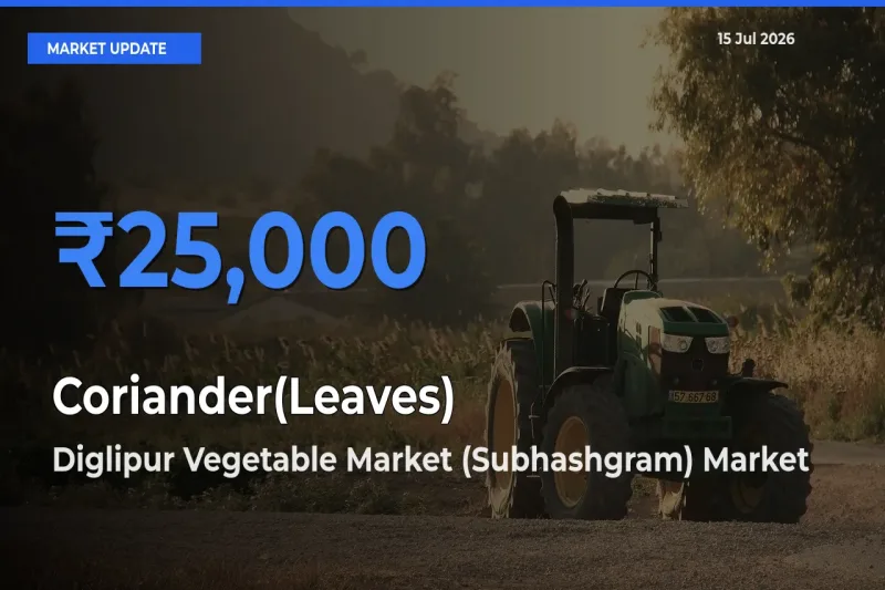 Diglipur Vegetable Market (Subhashgram) Tops Coriander(Leaves) Mandi Rates Today