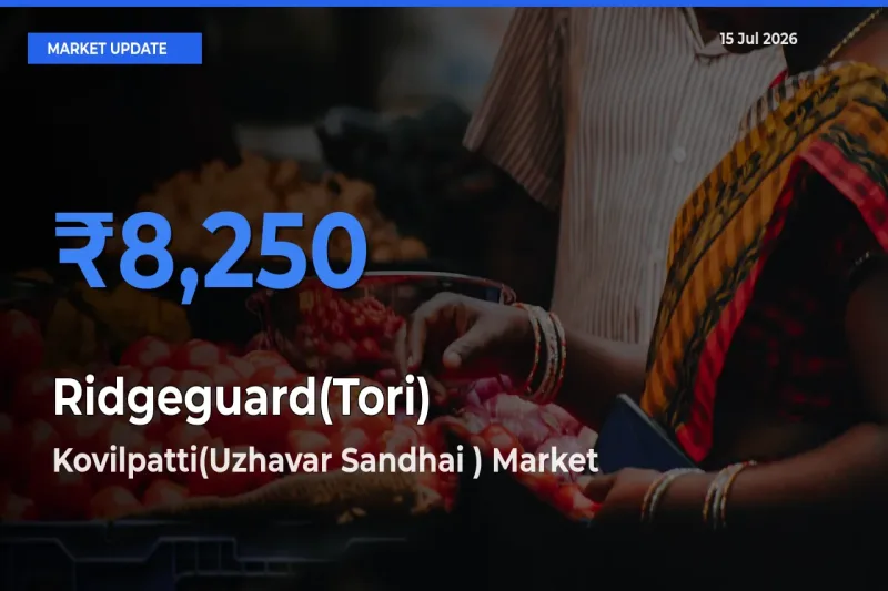 Kovilpatti(Uzhavar Sandhai ) Offers ₹8,250 – Highest Ridgeguard(Tori) Rate Today
