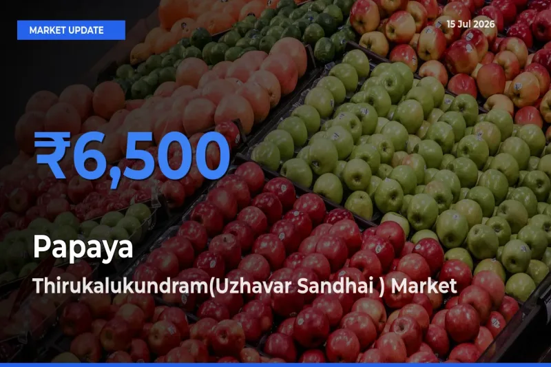Thirukalukundram(Uzhavar Sandhai ) Tops Papaya Rates – July 15 Market Update