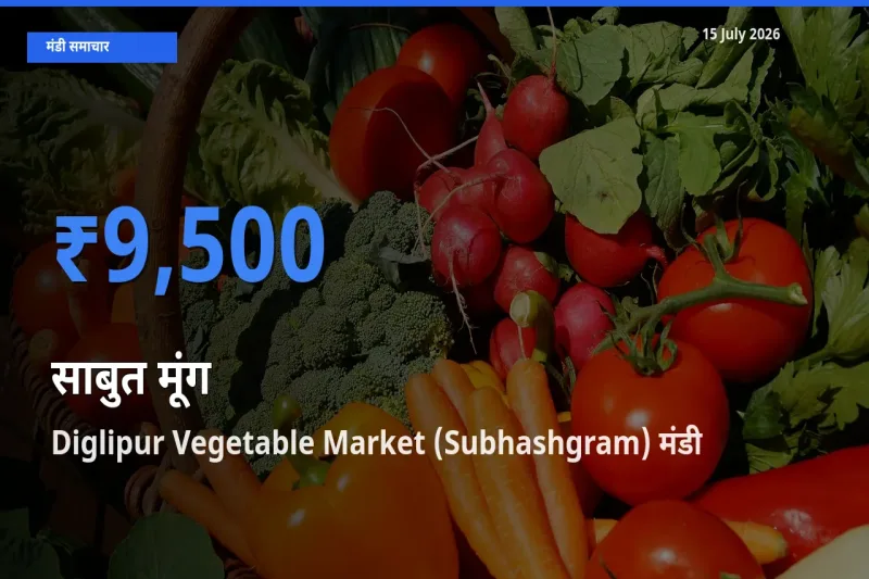 15 July अपडेट: साबुत मूंग के सबसे ऊँचे दाम Diglipur Vegetable Market (Subhashgram) मंडी में