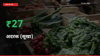 अदरक (सूखा) के दाम प्रमुख मंडी में 27.19% बढ़े, 24 घंटे में बड़ा बदलाव