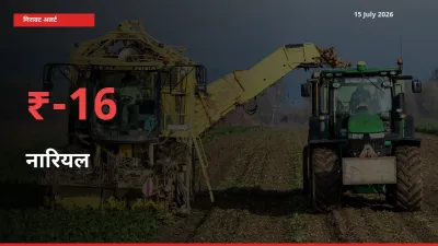 15 July अपडेट: नारियल के दाम मंडी में 15.98% गिरे
