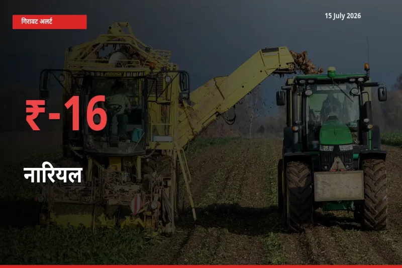 15 July अपडेट: नारियल के दाम मंडी में 15.98% गिरे
