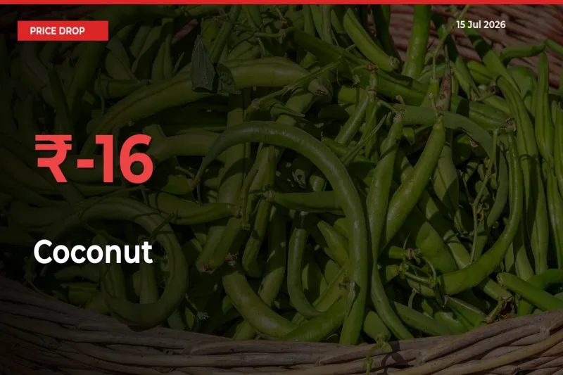 Coconut Mandi Rate Today: Prices Fall 15.98% at Market