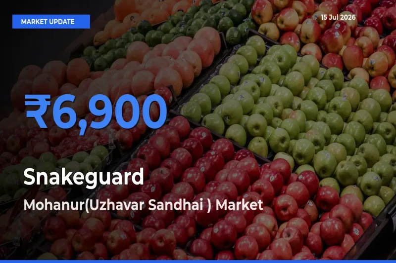 Snakeguard Mandi Rate Today: Mohanur(Uzhavar Sandhai ) Tops the List
