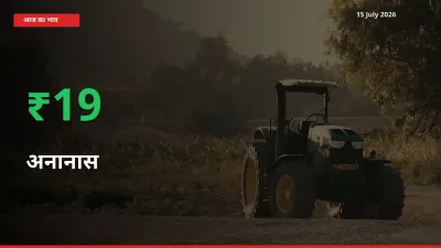 किसानों के लिए खुशखबरी! स्थानीय मंडी में अनानास 19.35% उछला
