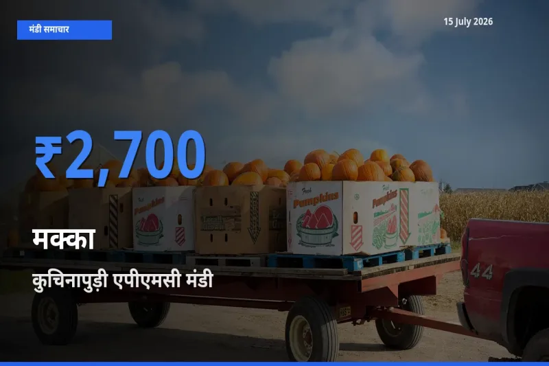आज मक्का के सबसे ज़्यादा दाम कुचिनापुड़ी एपीएमसी मंडी में दर्ज