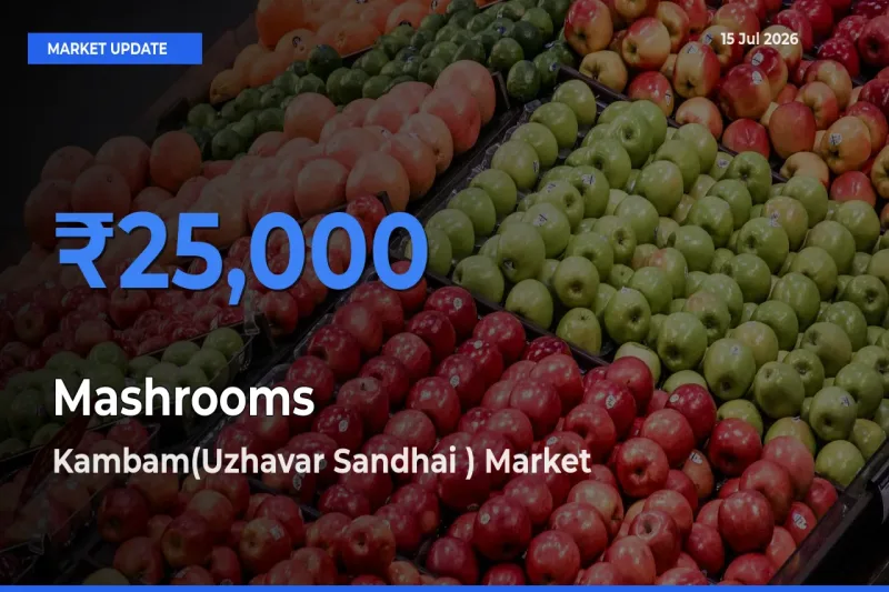 Market Watch: Kambam(Uzhavar Sandhai ) Becomes Top Mandi for Mashrooms