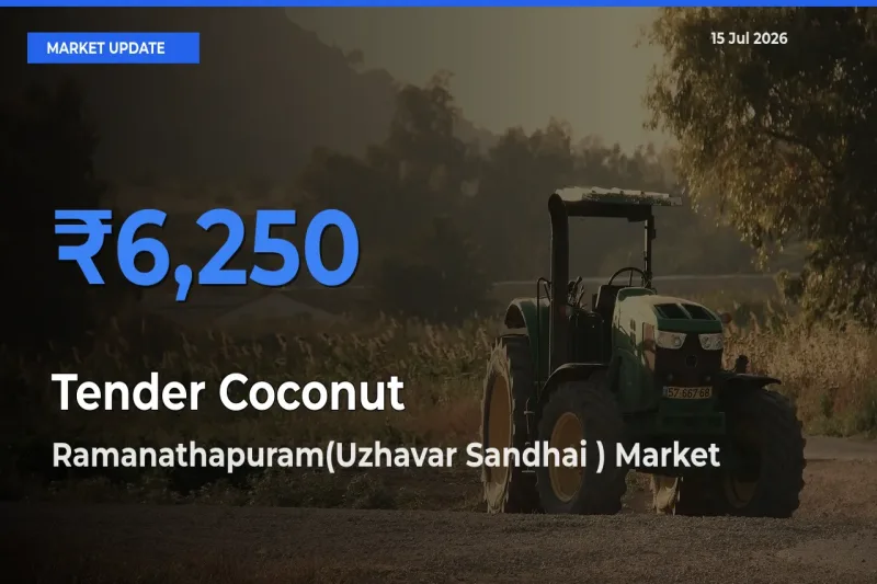 Ramanathapuram(Uzhavar Sandhai ) Emerges as Top Mandi for Tender Coconut Prices Today
