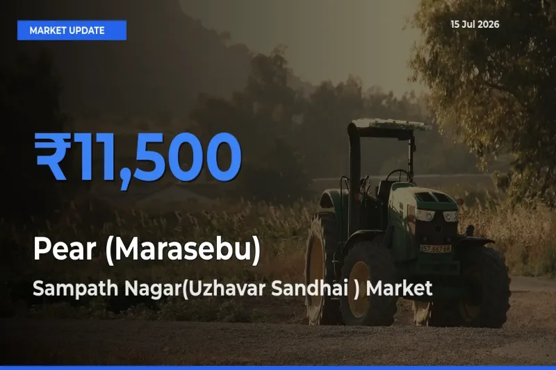Sampath Nagar(Uzhavar Sandhai ) Emerges as Top Mandi for Pear (Marasebu) Prices Today