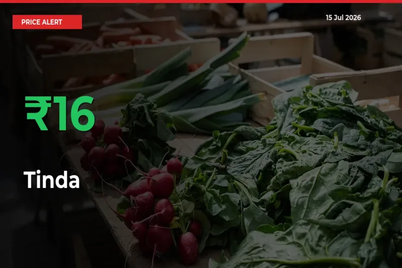 Sudden 15.99% Rally in Tinda Prices Across Mandis