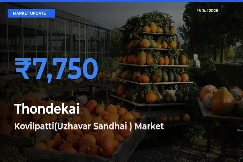 Kovilpatti(Uzhavar Sandhai ) Tops Thondekai Rates – July 15 Market Update
