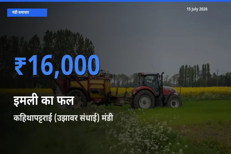 बाज़ार संकेत: कहिथापट्टराई (उझावर संधाई) बना इमली का फल के लिए आज की टॉप मंडी