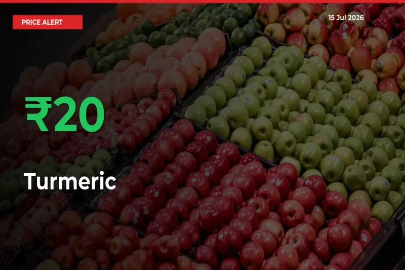 Why Turmeric Prices Rose 19.62% in a Day at Mandis