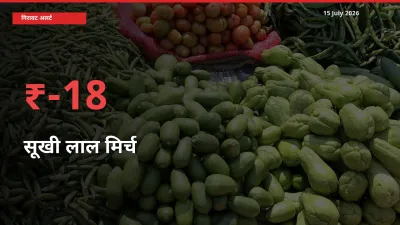18.14% की गिरावट! मंडी में सूखी लाल मिर्च के दाम अचानक टूटे