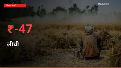 स्थानीय मंडी में लीची के दाम अचानक 46.95% गिरे, किसानों की चिंता बढ़ी