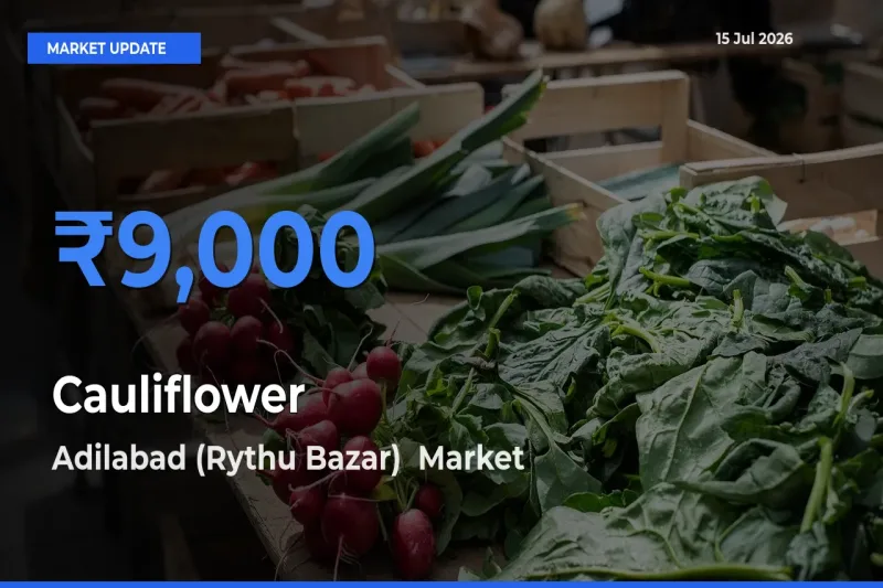 Adilabad (Rythu Bazar)  Tops Cauliflower Rates – July 15 Market Update