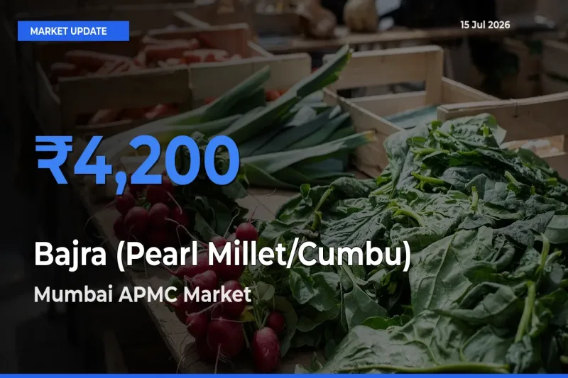 Bajra (Pearl Millet/Cumbu) Mandi Rate Today: Mumbai APMC Tops the List