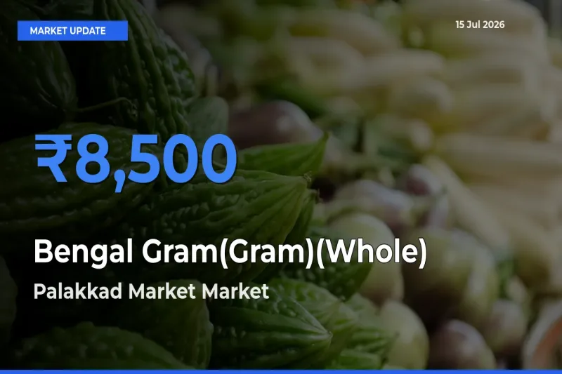 Palakkad Market Tops Bengal Gram(Gram)(Whole) Mandi Rates Today
