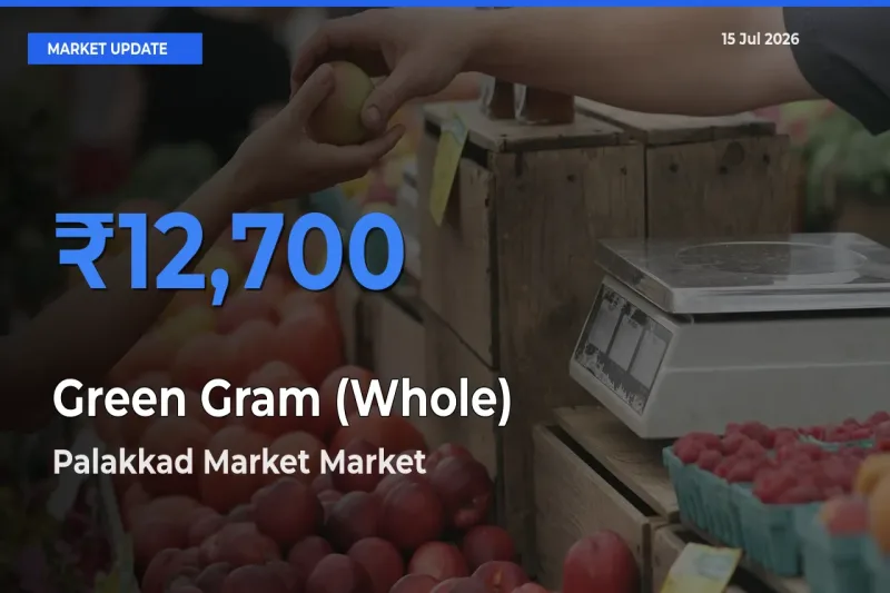 Market Watch: Palakkad Market Becomes Top Mandi for Green Gram (Whole)